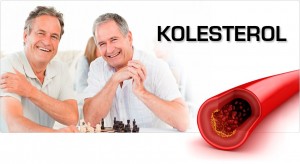 kolesterol